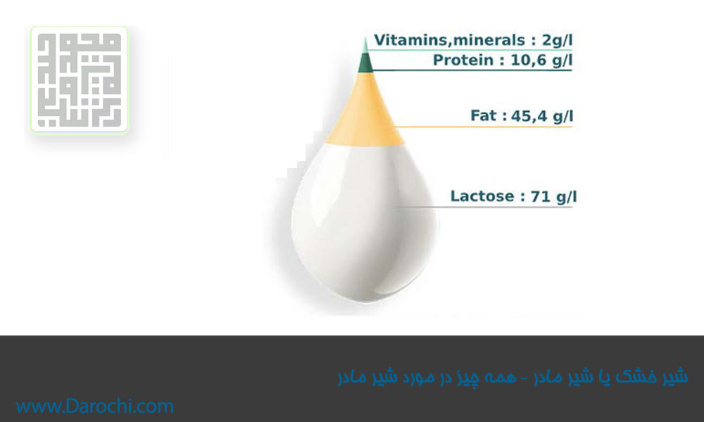 شیر-خشک-یا-شیر-مادر--همه-چیز-در-مورد-شیر-مادر
