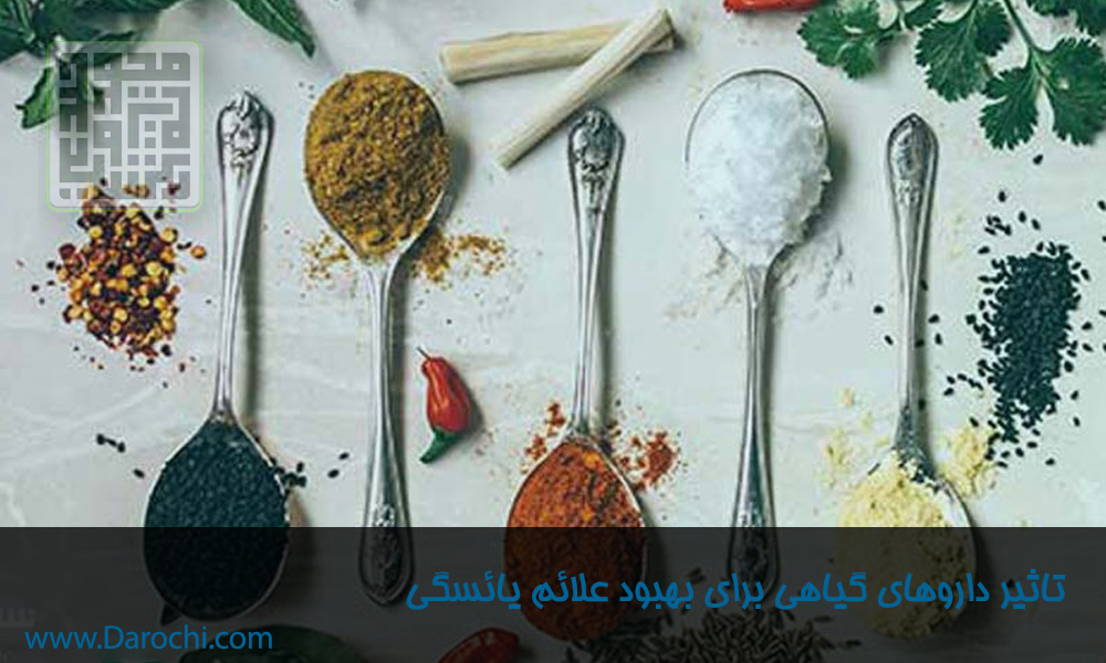 تاثیر-داروهای-گیاهی-برای-بهبود-علائم-یائسگی​