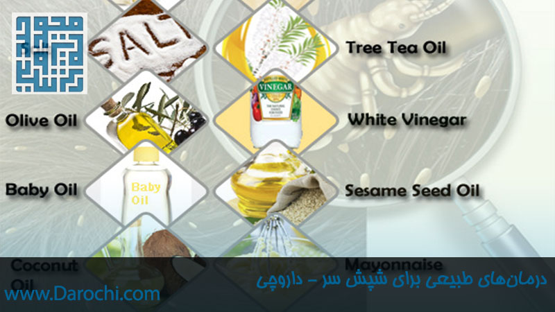 درمان‌های طبیعی برای شپش سر-داروخانه داروچی