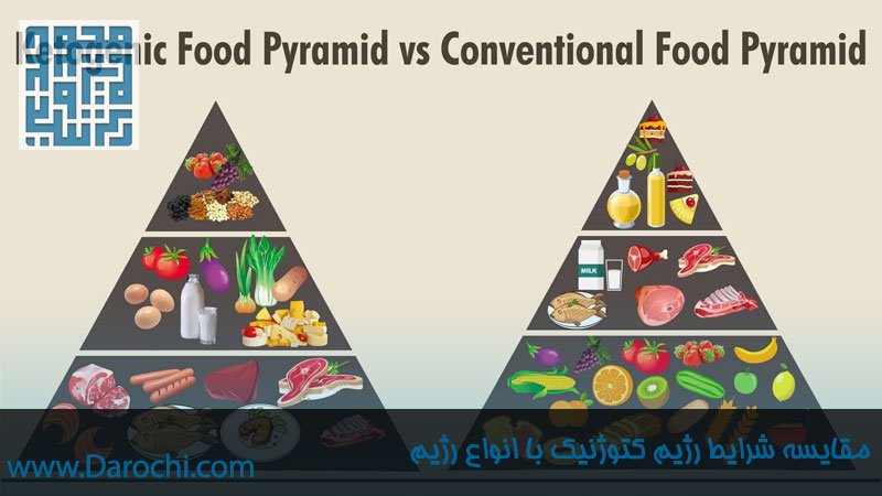 مقایسه شرایط رژیم کتوژنیک با انواع رژیم