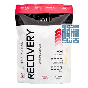 خرید آنلاین پودر ریکاوری کیو ان تی